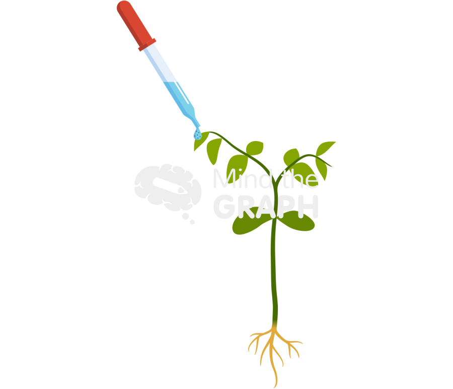 Nanoparticle plants Icons, Symbols, Pictures, and Images